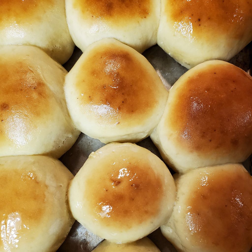 Fresh homemade 30 minute honey butter rolls