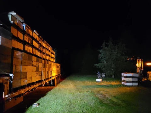 Have you ever seen a truck full of bees?