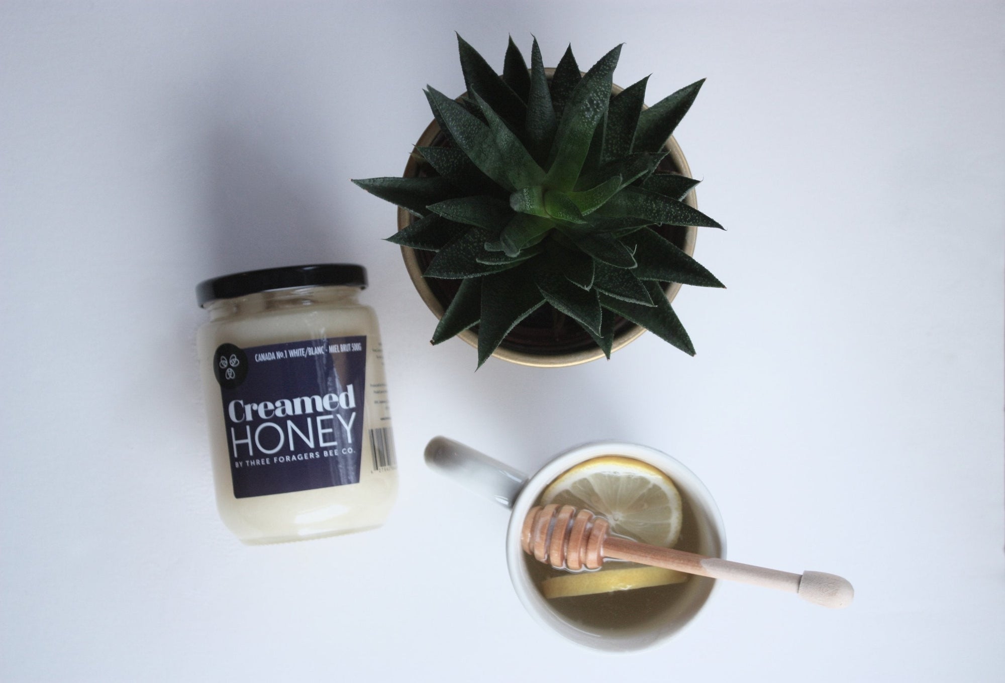 A jar of Creamed Honey next to a potted succulent and a honey dipper resting in a cup of tea with lemon