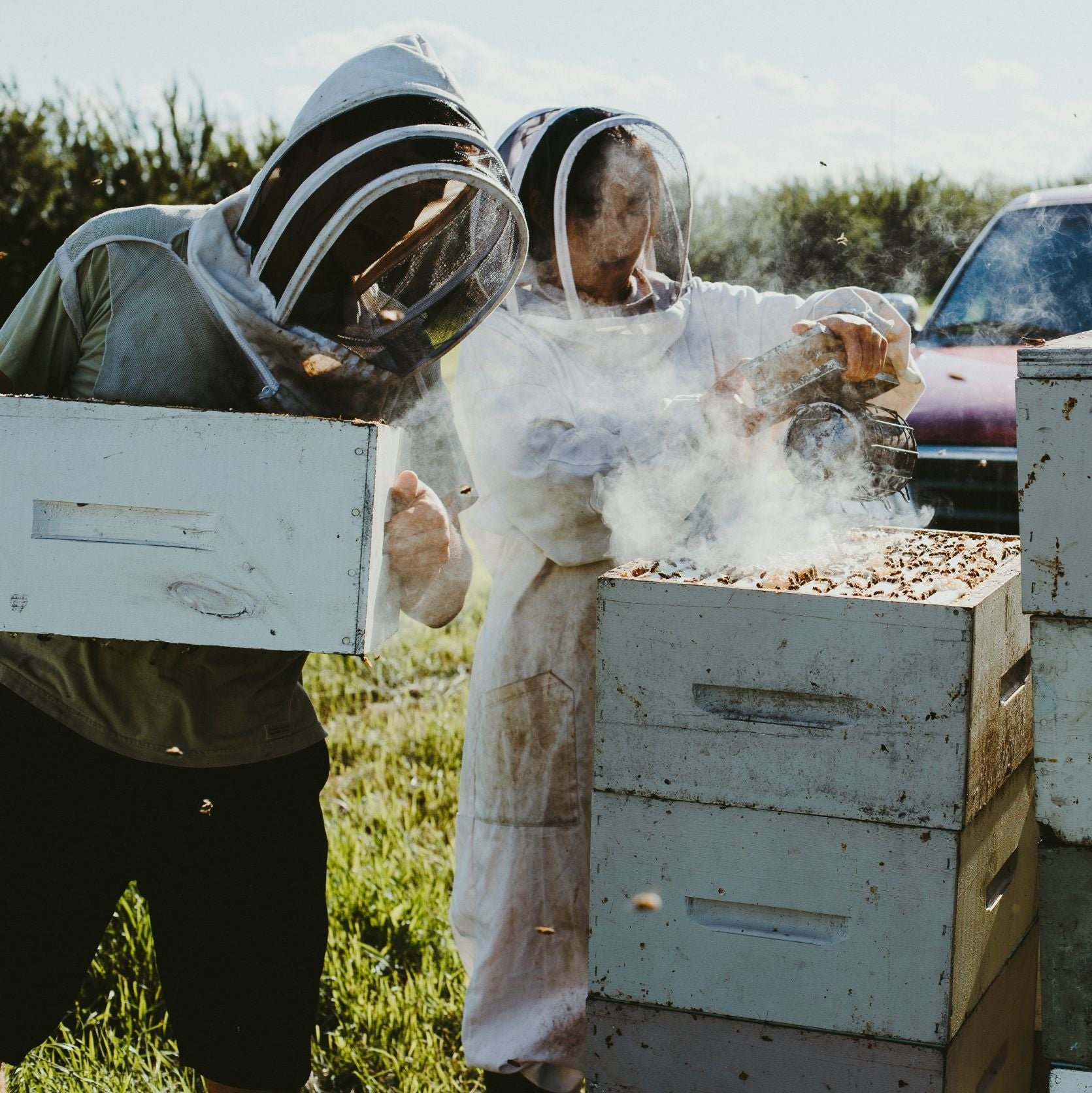 Angela and Andrew bees.jpg